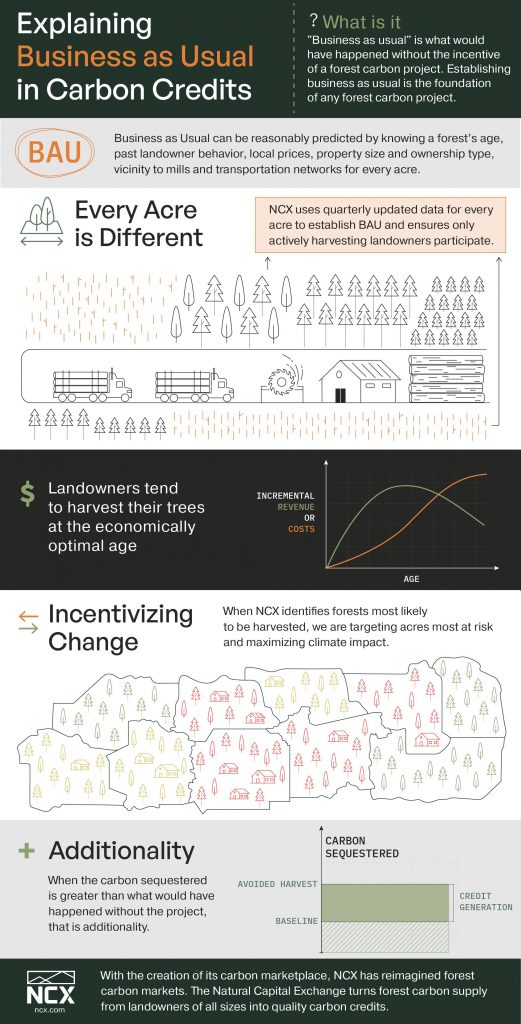 Infographic explaining business as usual in carbon credits