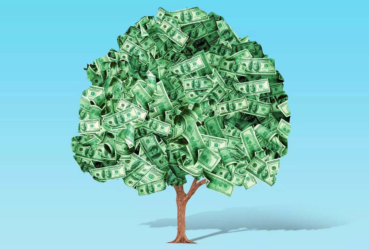 Money Tree Illustration