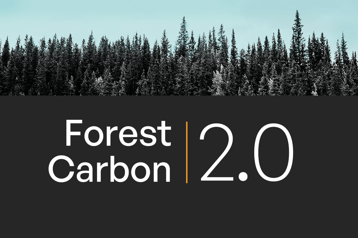 Forest carbon 2.0 text over a silhouette of trees