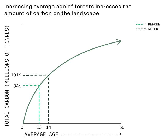 Graph showing the increasing average age of forests and how it increases the amount of carbon on the landscape
